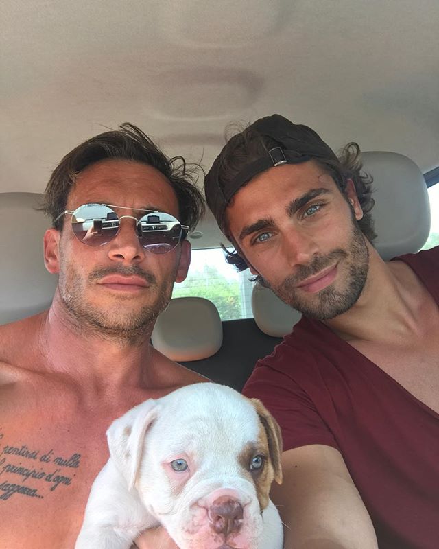Americanbuldog figlio Donnie bellissimo ma il proprietario Mario  non è di meno ️️️️️️️️
